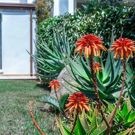 Cala Pira Sul Mare Con Wi-fi Villa *